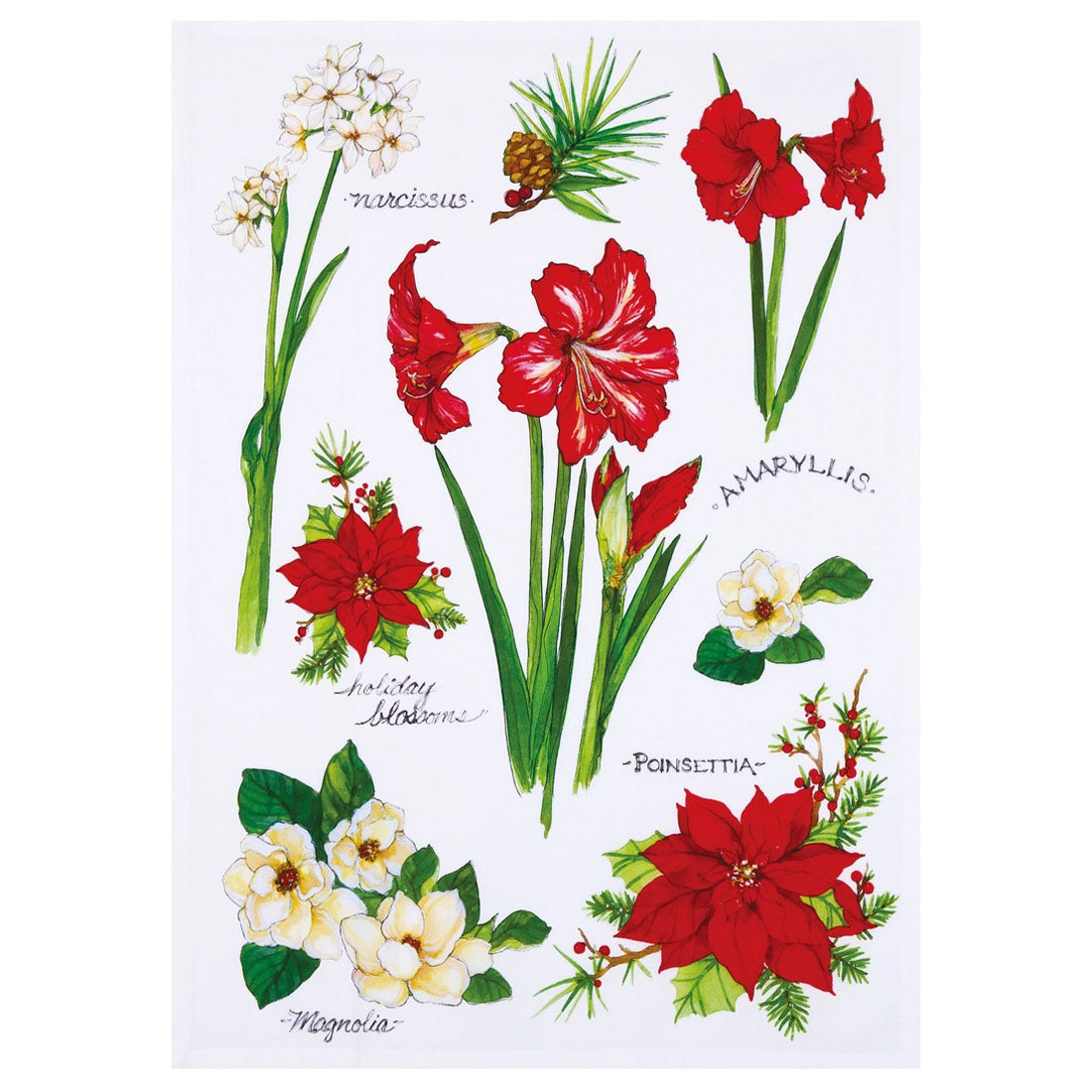 Sally Eckman Roberts Field Guide Holiday Blossoms 100% Cotton Flour Sack Kitchen Towel