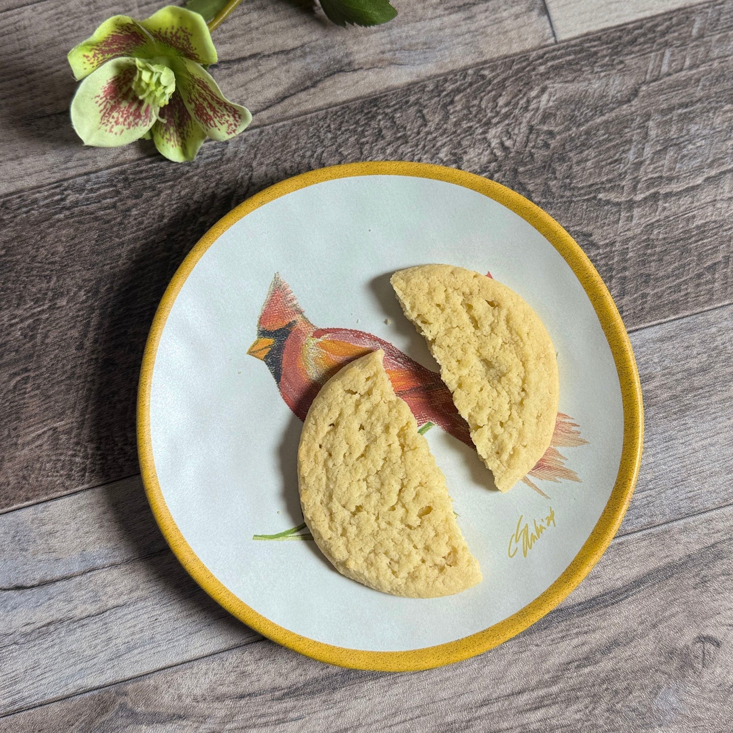 Cardinal Wreath by Carole Shiber 6.5" Melamine Appetizer, Bread, Dessert Plate, Set of 6