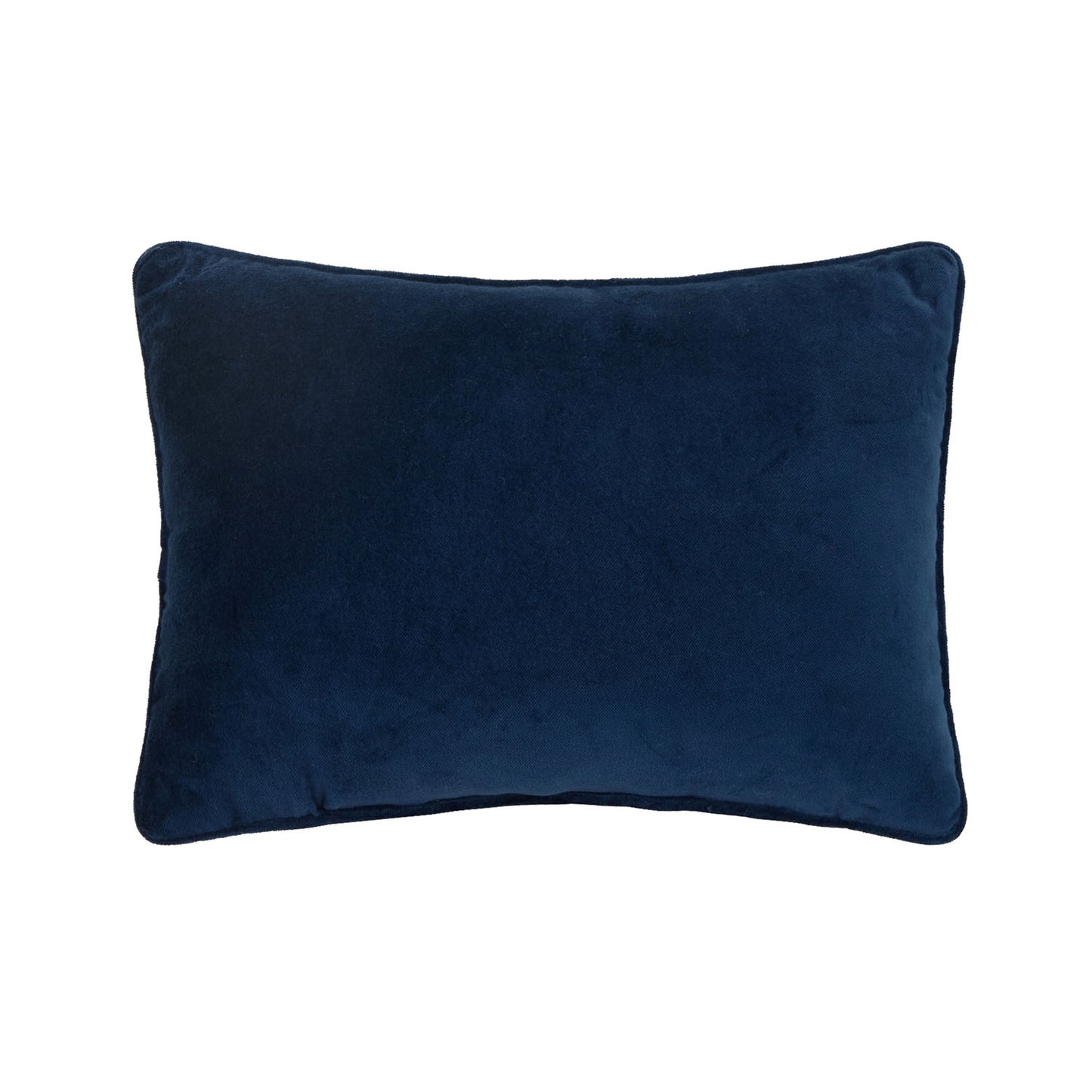 Sassy and Classy 14" x 10" Embroidered Needlepoint Throw Pillow, Blue/White/Pink
