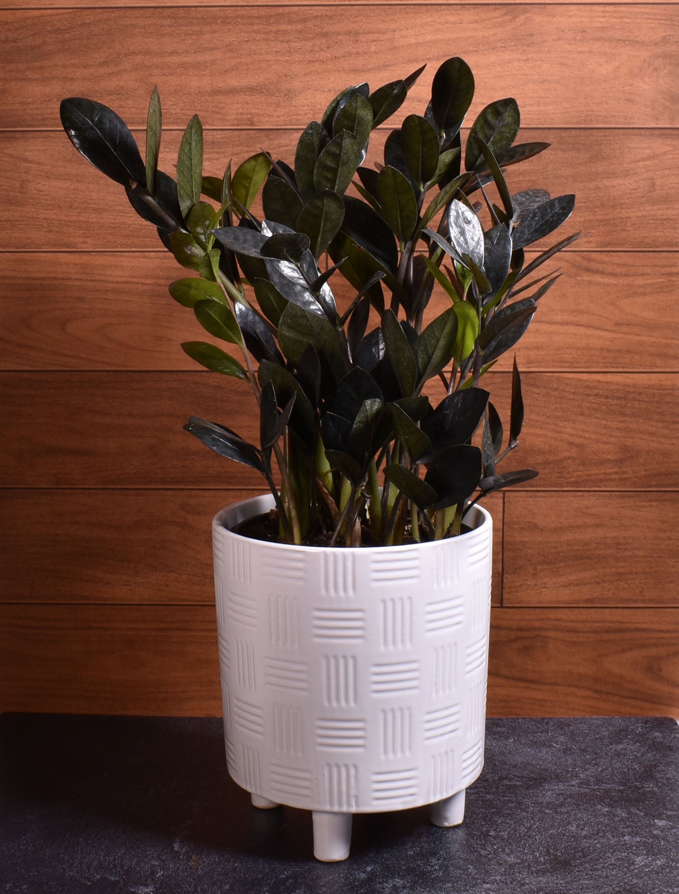 Modern Footed Ceramic Pot with Etched Pattern, White, 6-3/4" x 7-3/4" (DxH)
