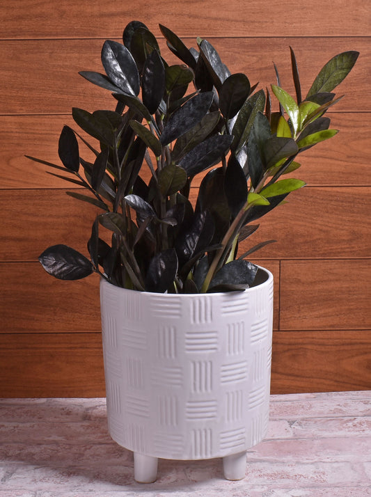 Modern Footed Ceramic Pot with Etched Pattern, White, 6-3/4" x 7-3/4" (DxH)