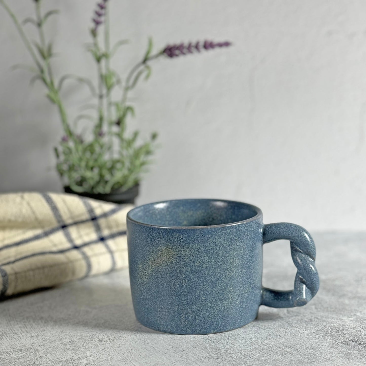 Accent Decor Early Morning Stoneware Mug with Twisted Rope Handle and Blue Speckled Glaze …