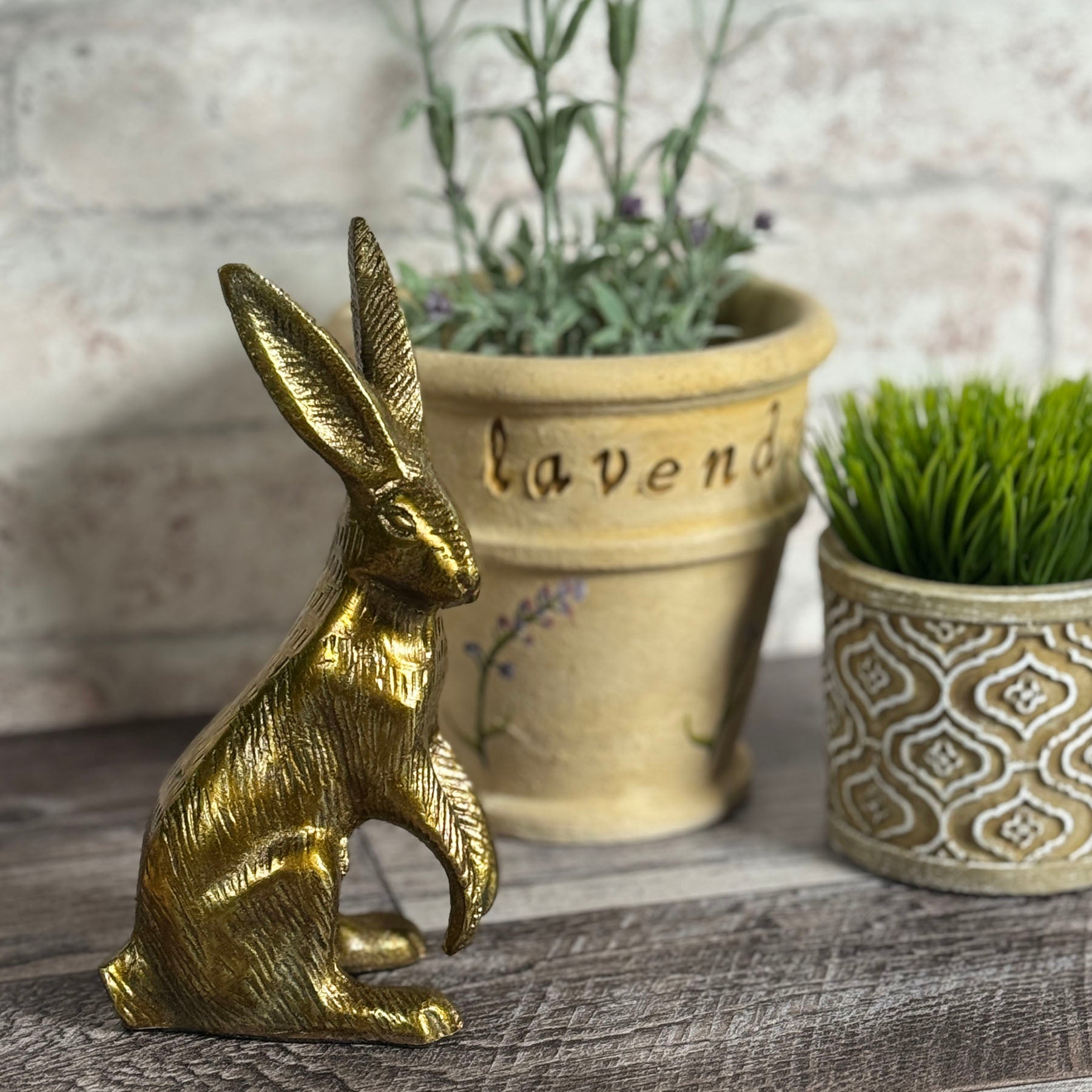 Standing Bunny Rabbit 7