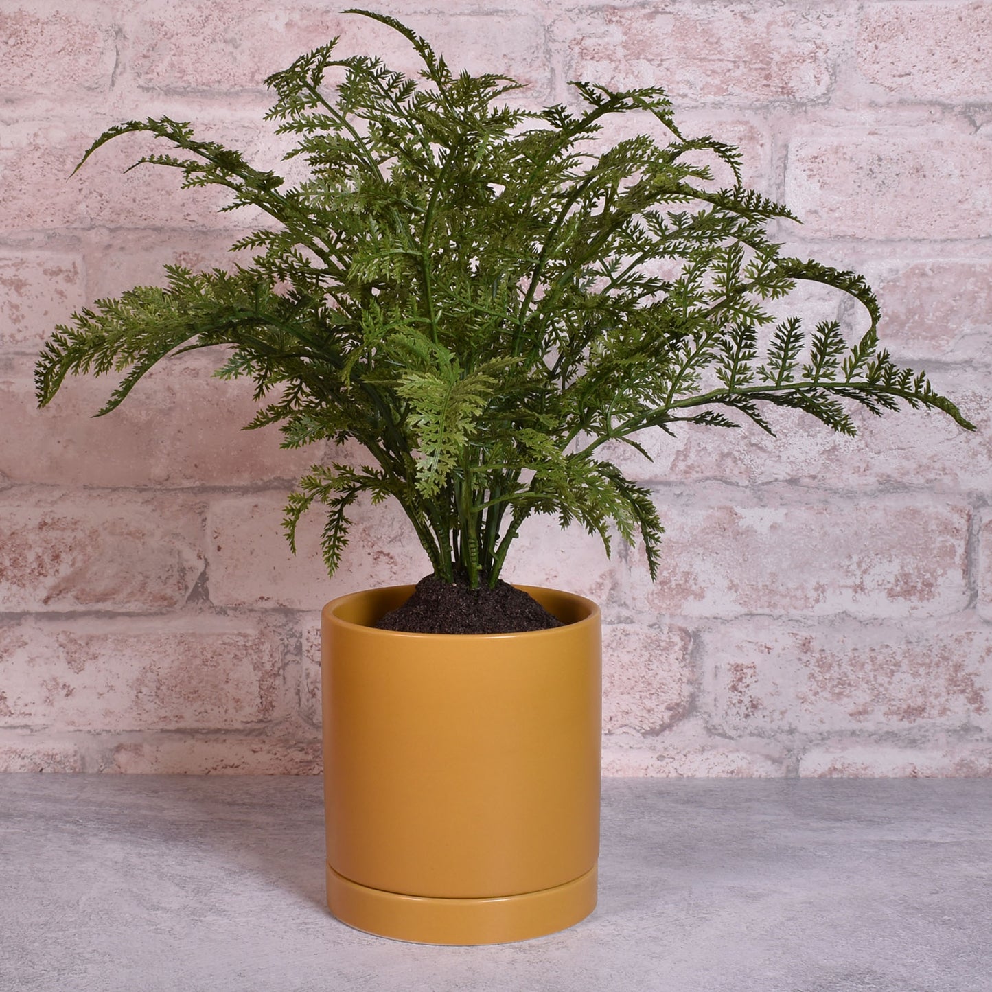 Modern Matte Finish 4" Glazed Ceramic Pot with Drainage Hole and Saucer, Ochre
