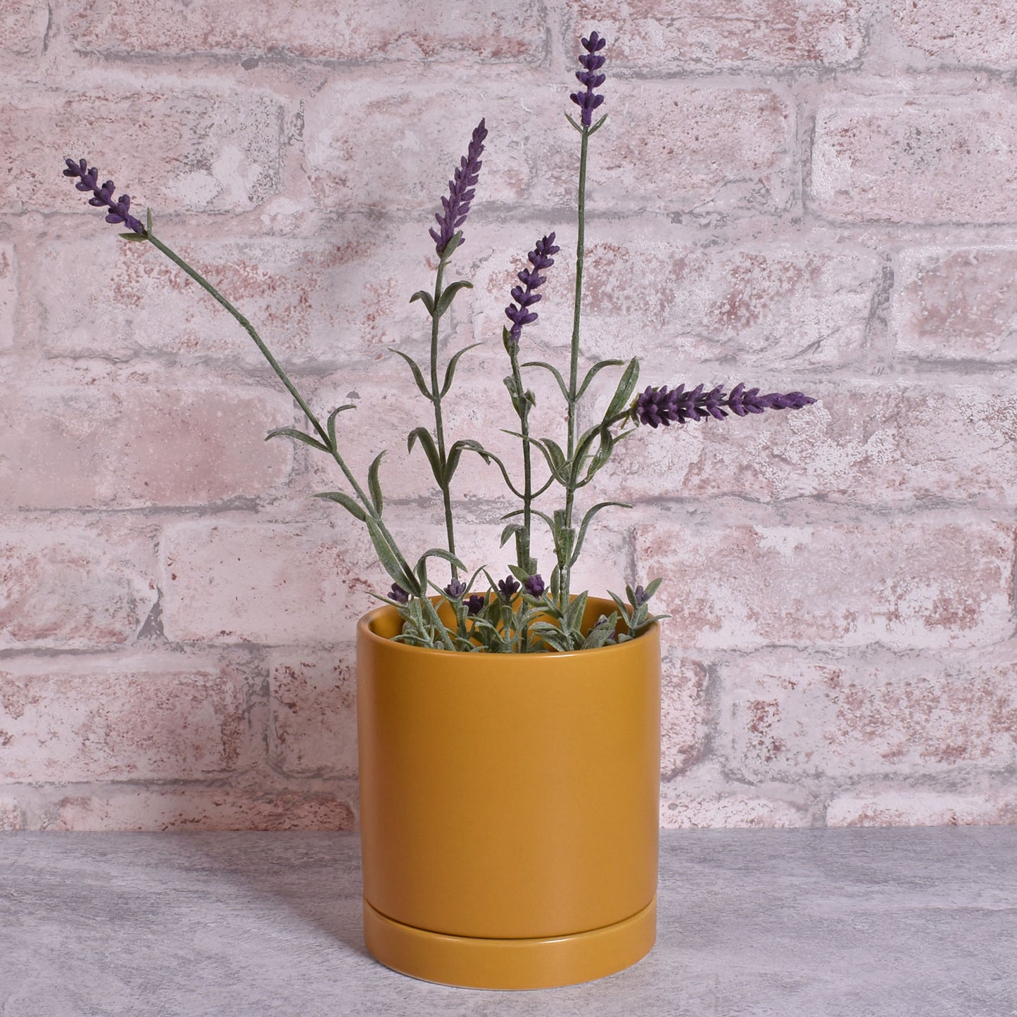 Modern Matte Finish 4" Glazed Ceramic Pot with Drainage Hole and Saucer, Ochre