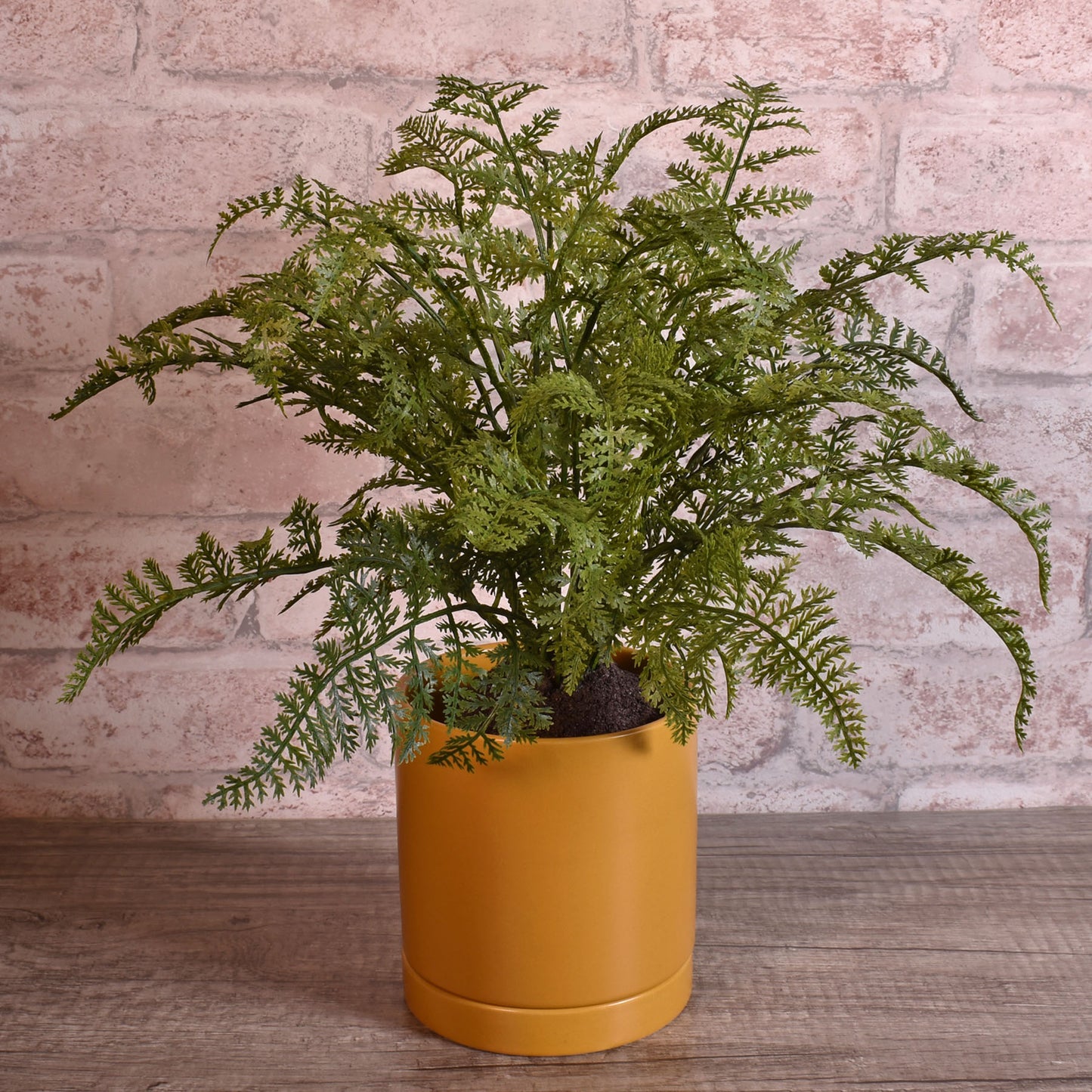 Modern Matte Finish 4" Glazed Ceramic Pot with Drainage Hole and Saucer, Ochre