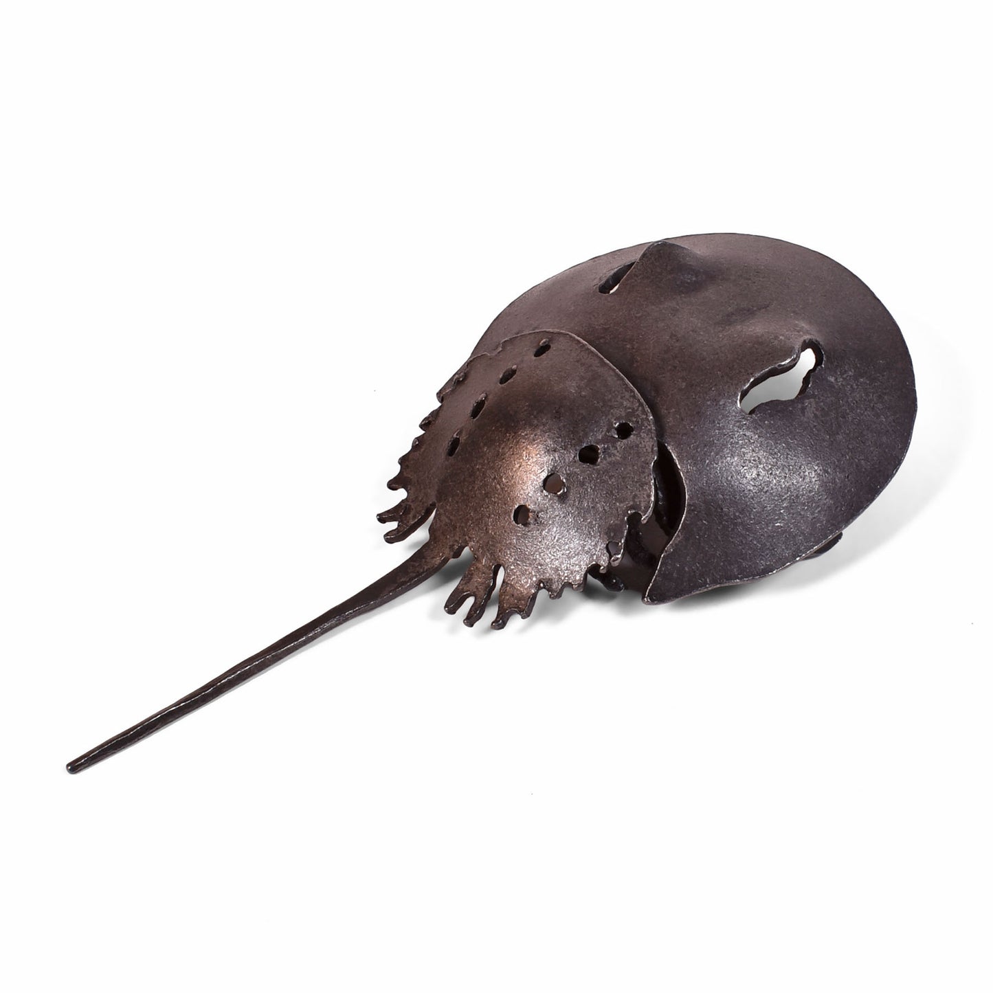 Blackthorne Forge 6-3/4" Baby Horseshoe Crab Steel Sculpture, Handcrafted in Vermont
