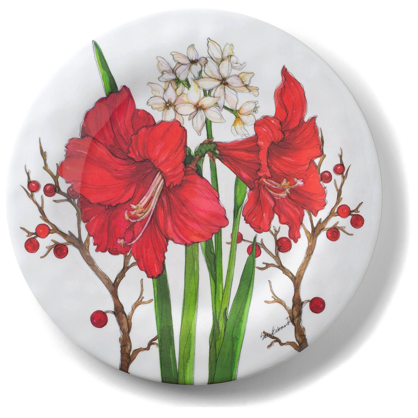 Bamboo Table Amaryllis 10.5-inch Dinner Plate, Set of 4