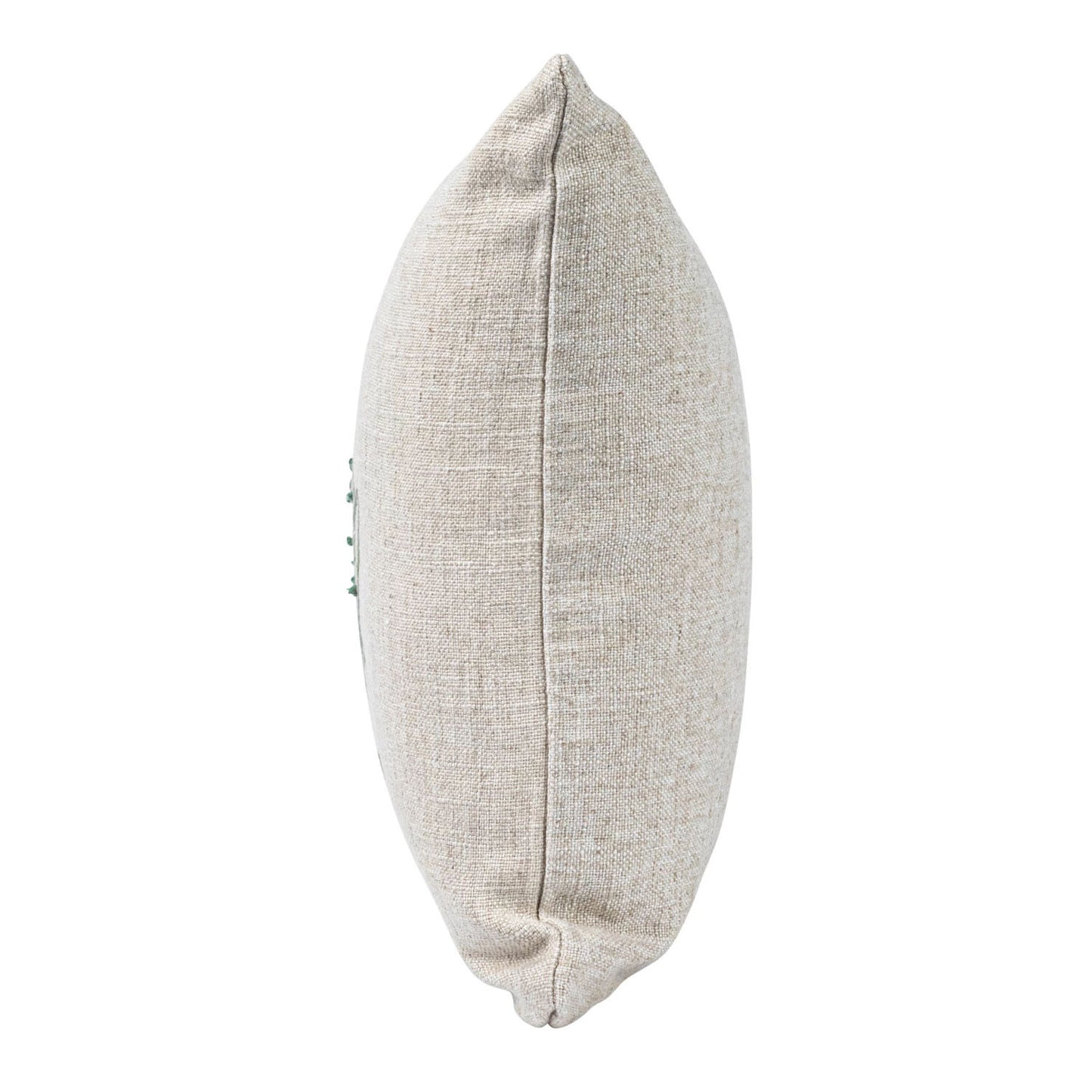 Creative Co-Op Frog, The Kissing Booth is Closed 16" Square Linen Rayon Blend Throw Pillow, Natural and Green