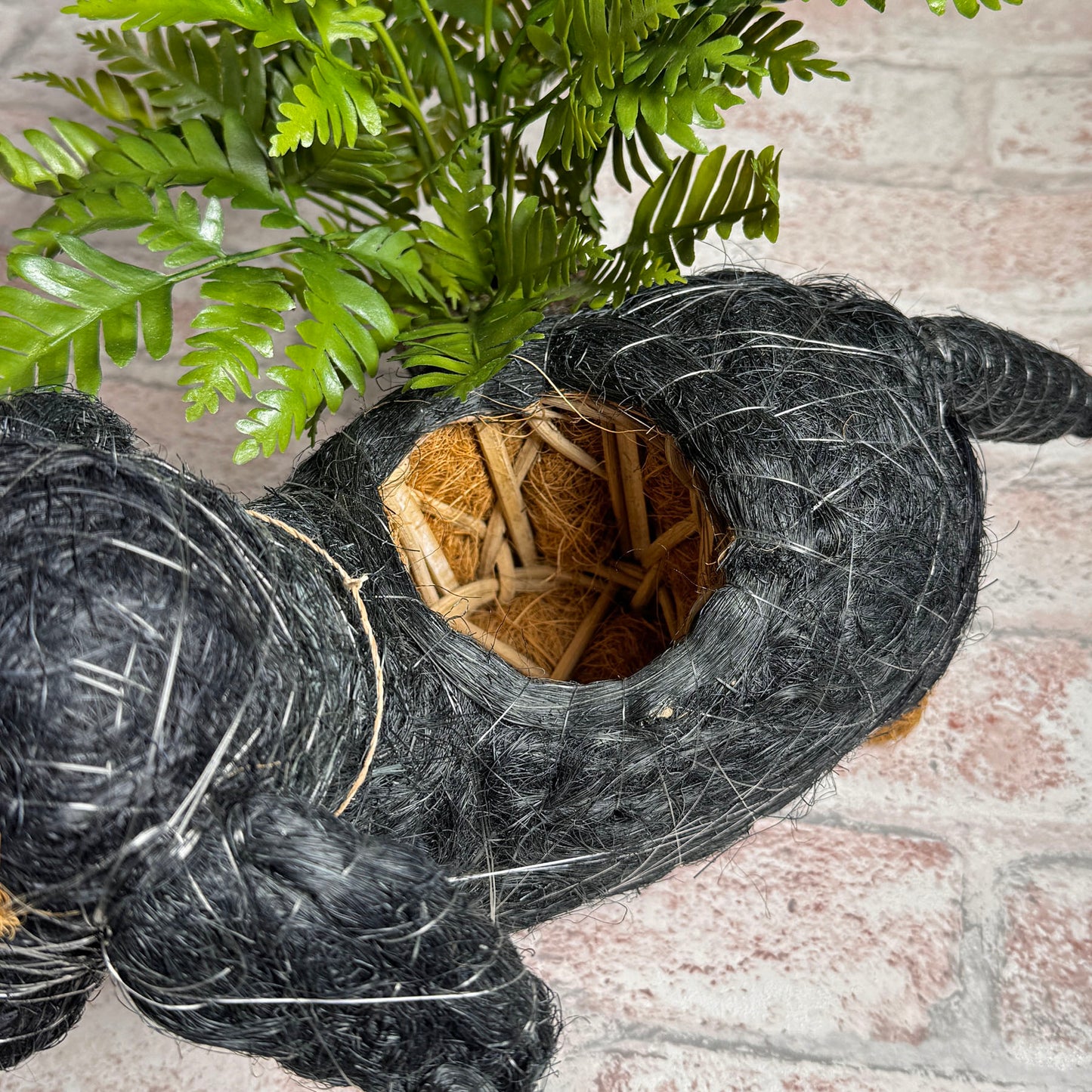 Dachshund Coconut Fiber Dog Planter, Handmade in the Philippines