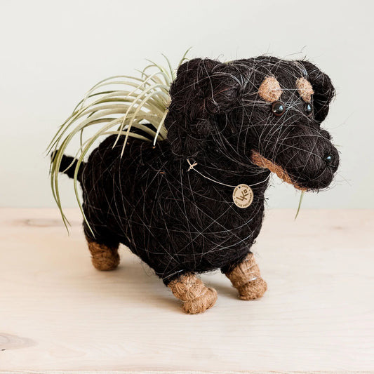 Dachshund Coconut Fiber Dog Planter, Handmade in the Philippines