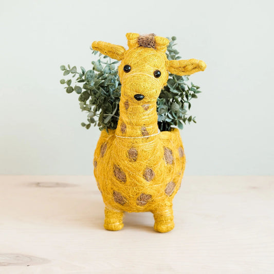 Baby Giraffe Coconut Fiber Planter, Handmade in the Philippines