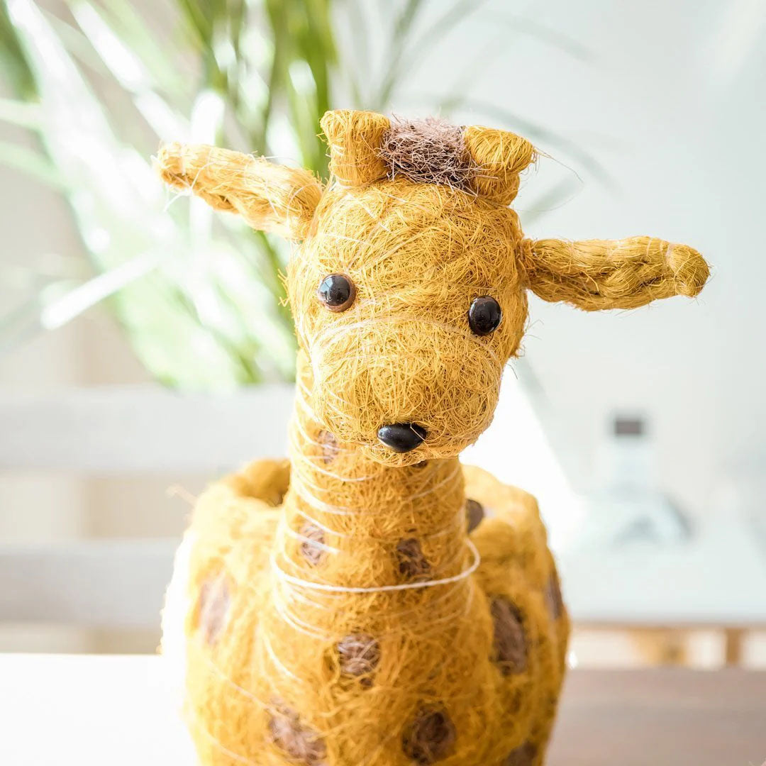 Baby Giraffe Coconut Fiber Planter, Handmade in the Philippines