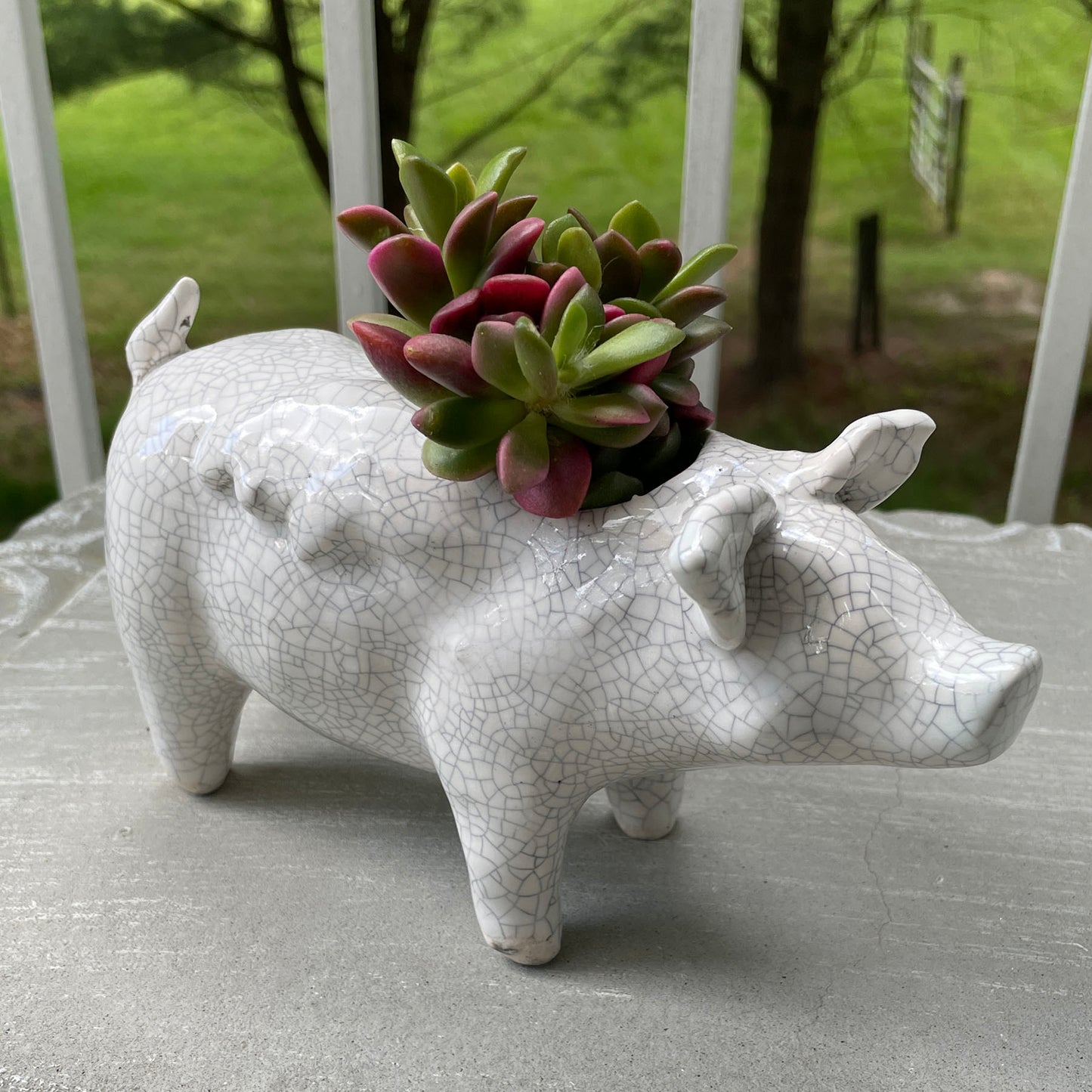 Naomi Nickerson Ceramics Small Winged Pig Planter, Crackle White
