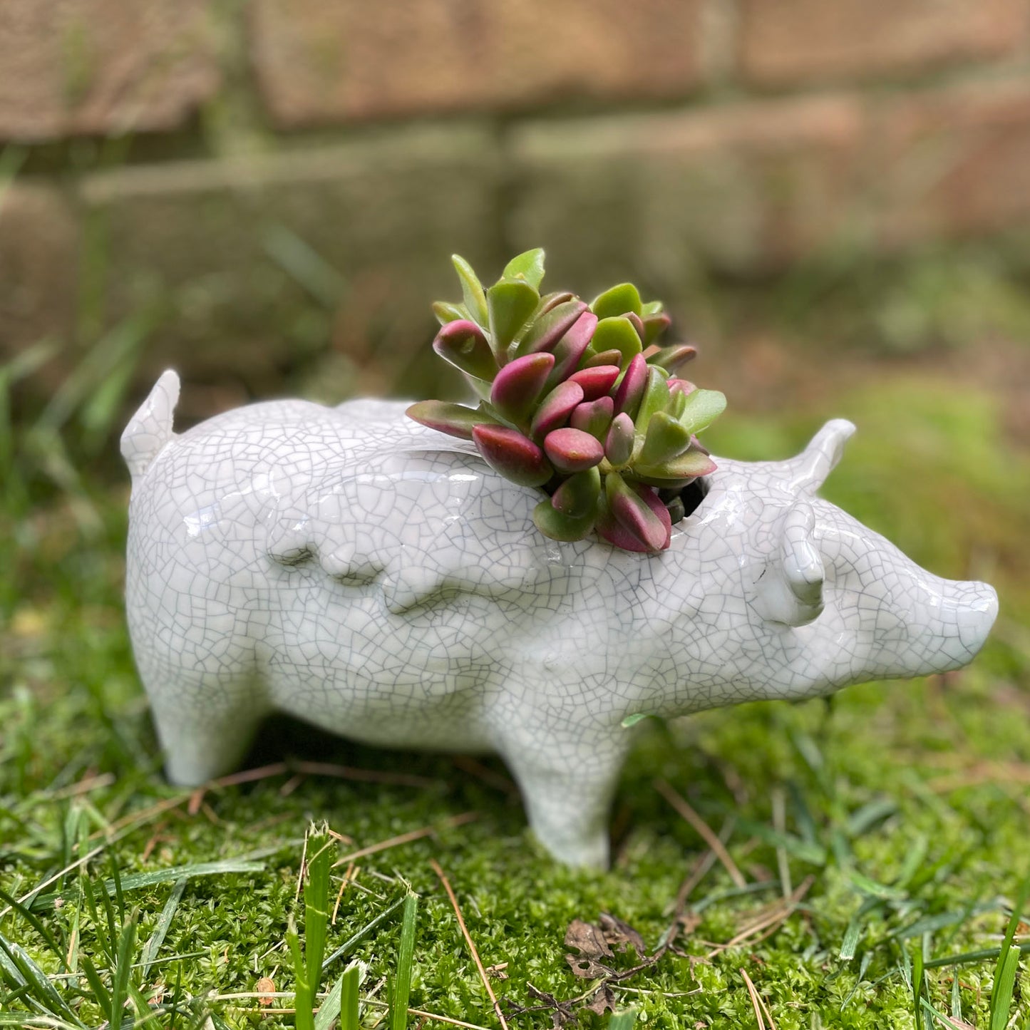 Naomi Nickerson Ceramics Small Winged Pig Planter, Crackle White