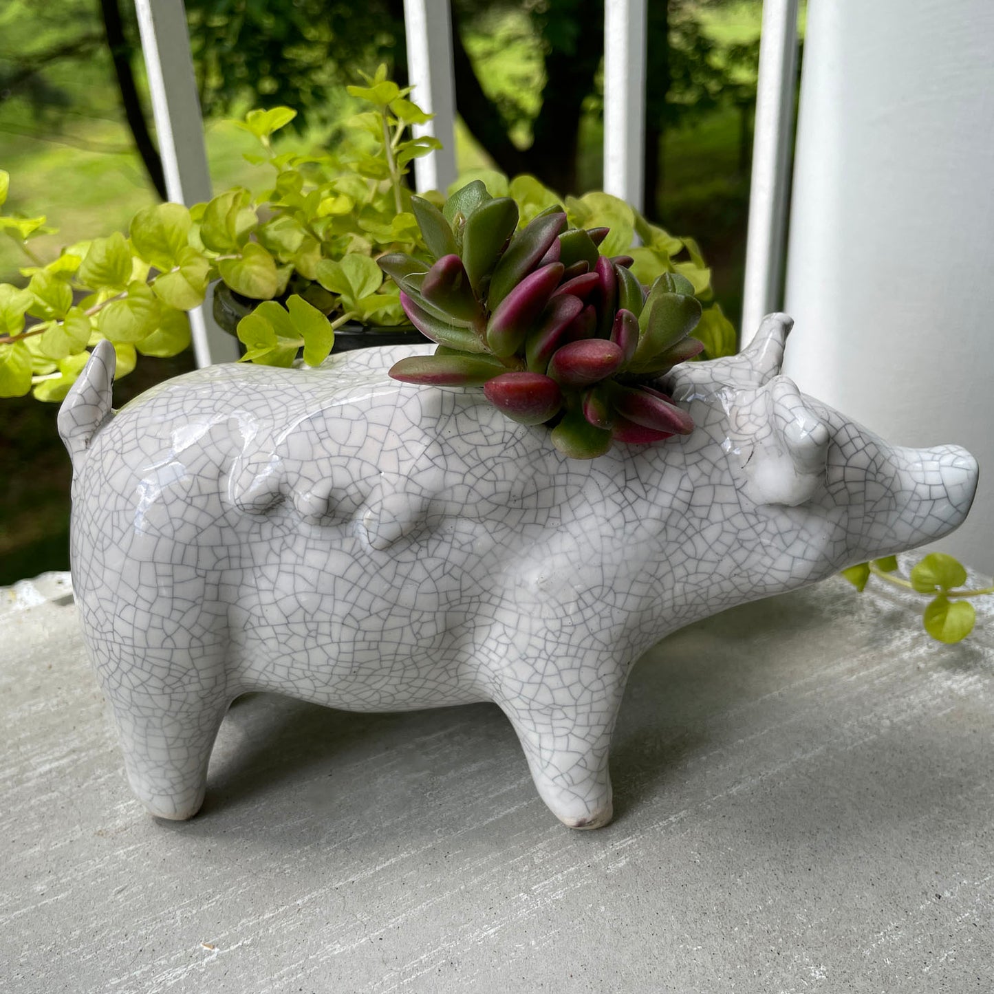 Naomi Nickerson Ceramics Small Winged Pig Planter, Crackle White