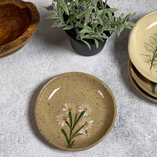 White Daisies on Rustic Glaze 4-1/4" Trinket Dish by Tara Kothari, Handmade American Pottery