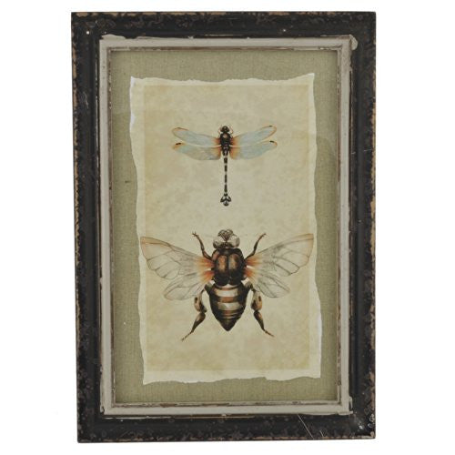 Creative Co-Op Vintage Insect Print with Distressed Wood Frame, Set of 4 - The Barrington Garage
