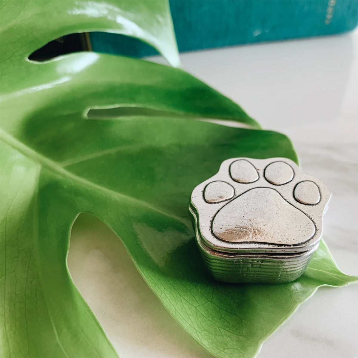 Crosby & Taylor Puppy Paw with Bone 1" Tiny Pewter Sentiment Box
