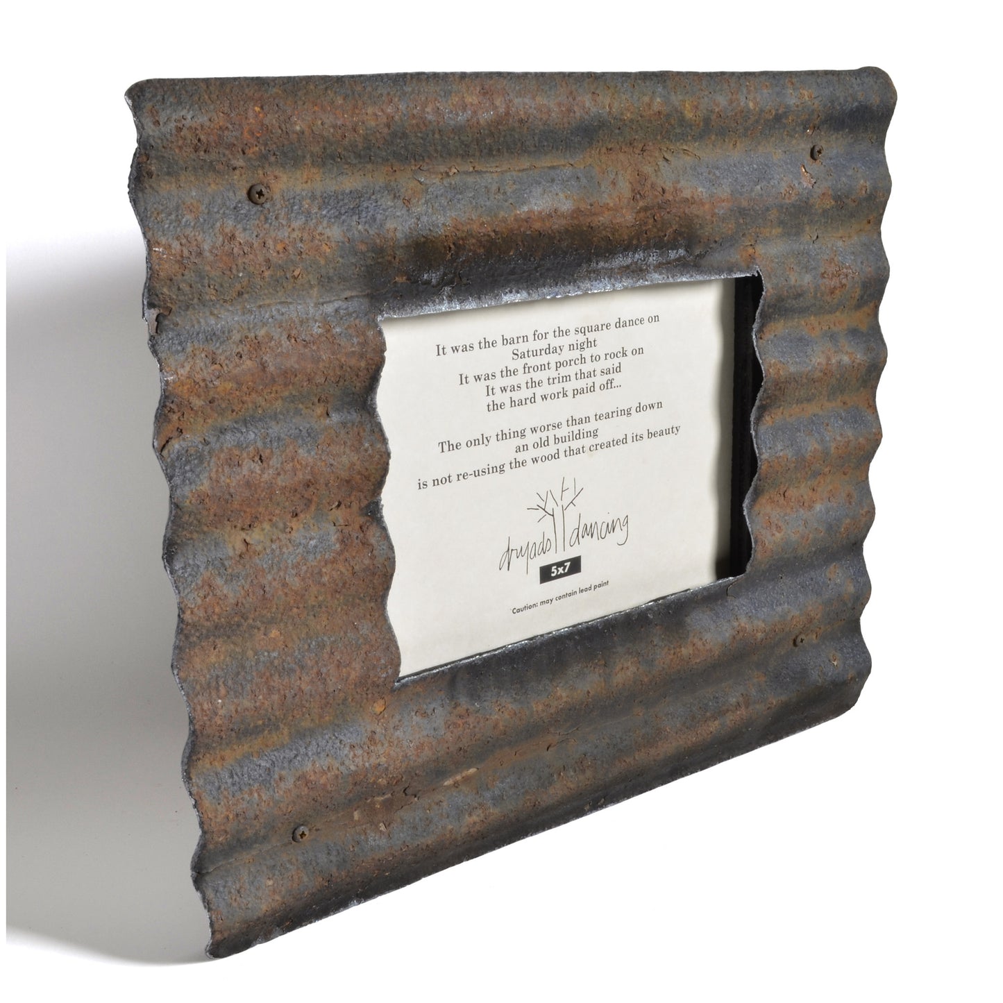 Dryads Dancing Reclaimed Corrugated Roof Tin Frame - The Barrington Garage