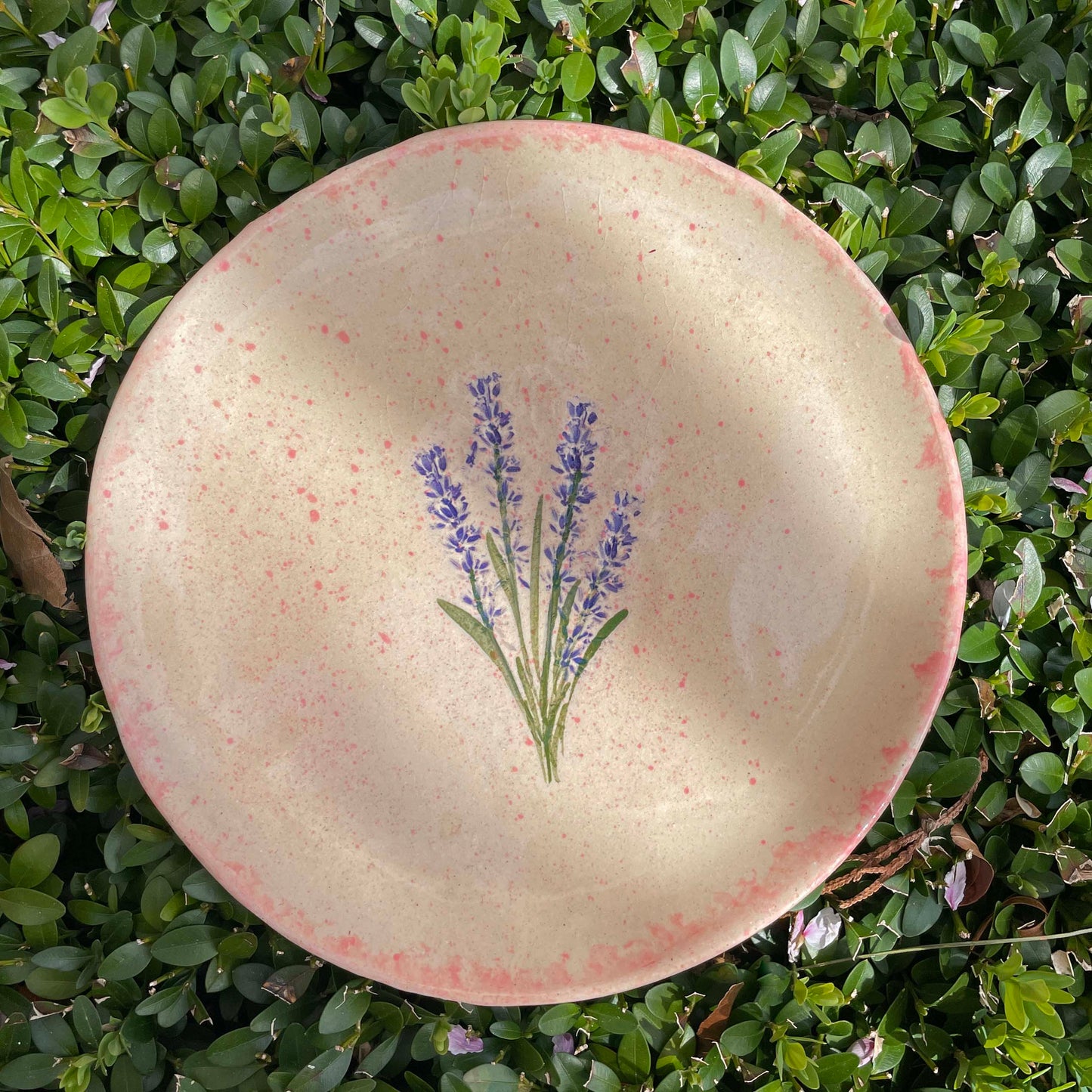 Pressed Lavender 8" Salad Plate by Tara Kothari, Handmade American Pottery