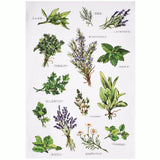 Sally Eckman Roberts Field Guide Herbs 100% Cotton Flour Sack Kitchen Towel