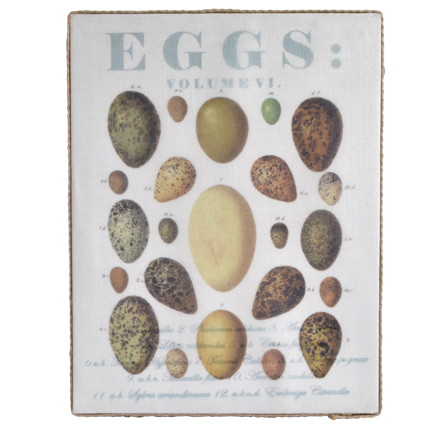 Mud Pie Eggs Small Wall Art with Burlap Wrapped Wooden Frame