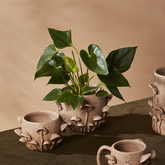 Sculpted Mushrooms 3.5" Stoneware Cachepot Planter, Speckled Brown Glaze