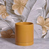 Modern Matte Finish 4" Glazed Ceramic Pot with Drainage Hole and Saucer, Ochre