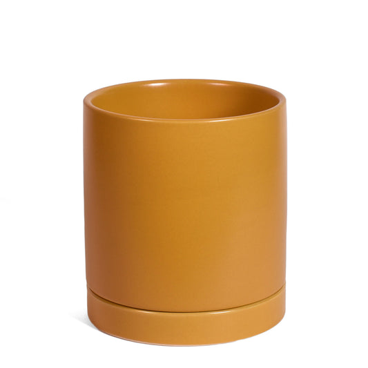 Modern Matte Finish 4" Glazed Ceramic Pot with Drainage Hole and Saucer, Ochre