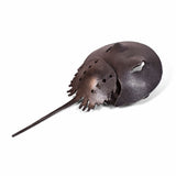 Blackthorne Forge 6-3/4" Baby Horseshoe Crab Steel Sculpture, Handcrafted in Vermont