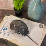 Blackthorne Forge 6-3/4" Baby Horseshoe Crab Steel Sculpture, Handcrafted in Vermont
