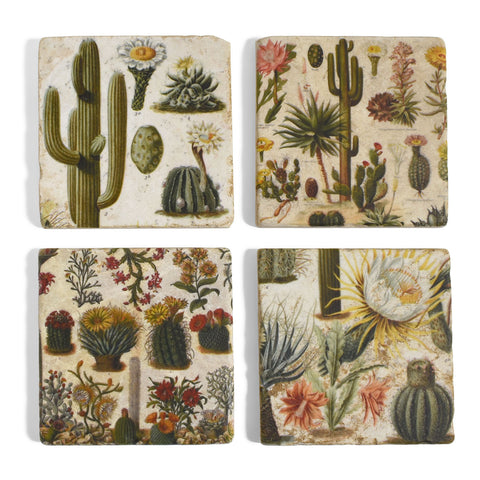 Botanical Cactus Tumbled Marble Coasters, Set of 4