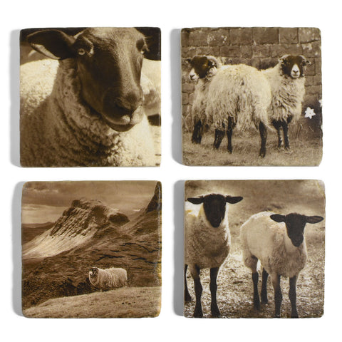 Sheep Tumbled Marble Coasters, Set of 4