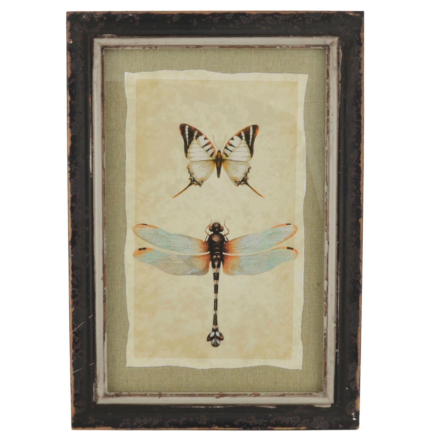 Vintage Style Butterfly and Dragonly Print with Distressed Wood Frame