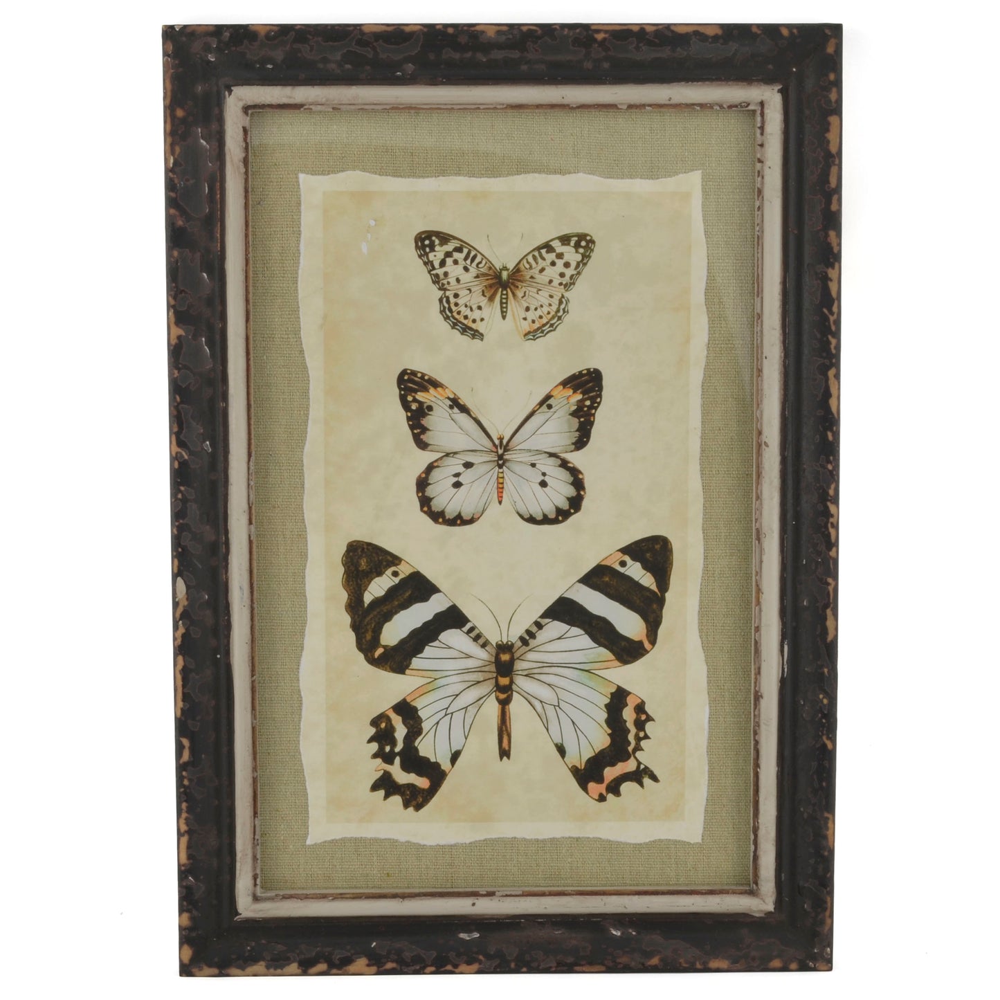 Vintage Style Three Butterflies Print with Distressed Wood Frame
