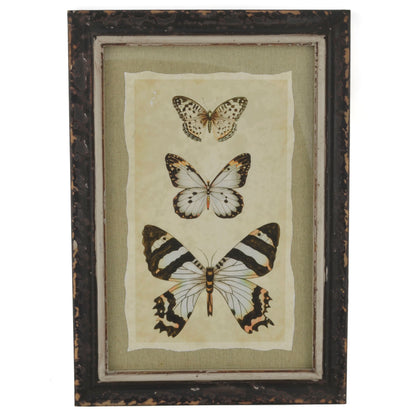 Vintage Style Three Butterflies Print with Distressed Wood Frame