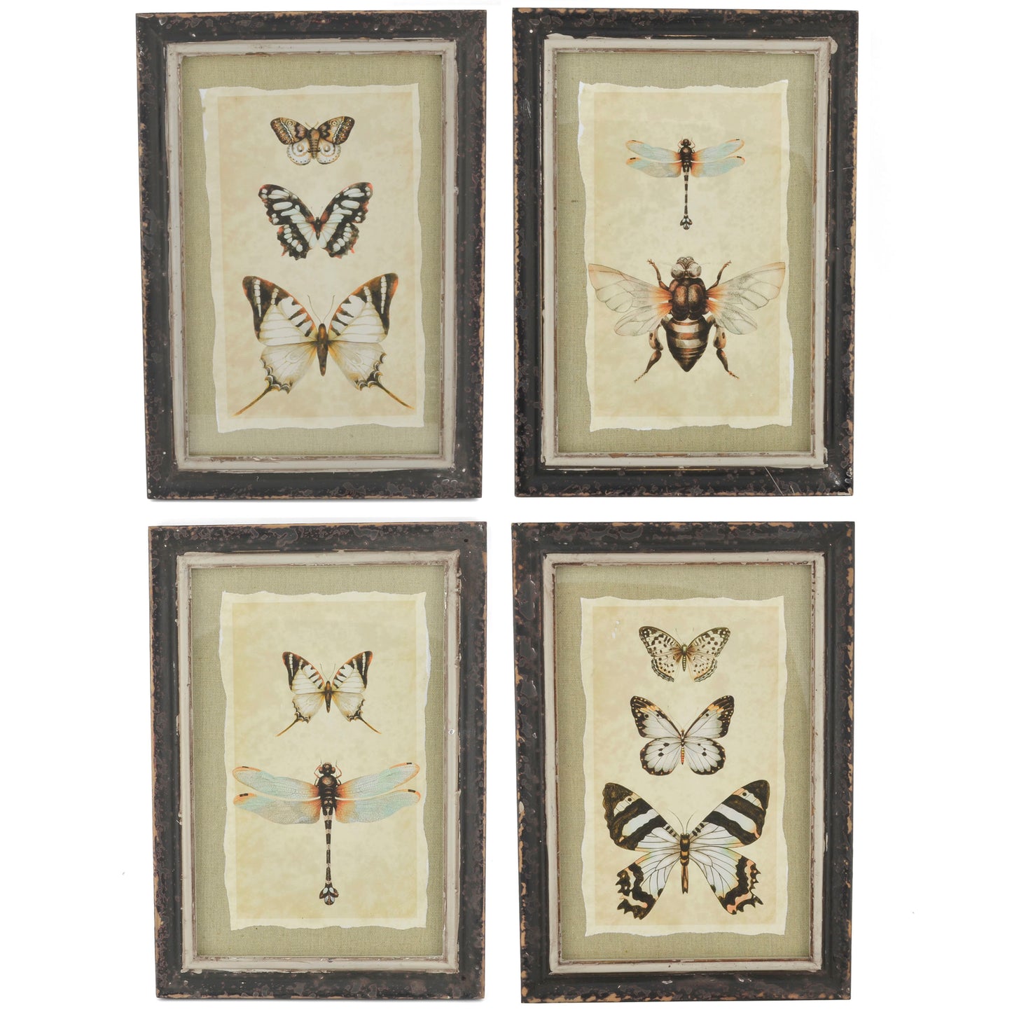 Vintage Style Butterfly and Dragonly Print with Distressed Wood Frame