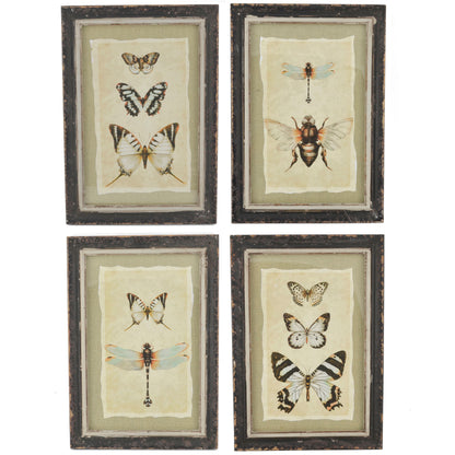 Vintage Style Butterfly and Dragonly Print with Distressed Wood Frame