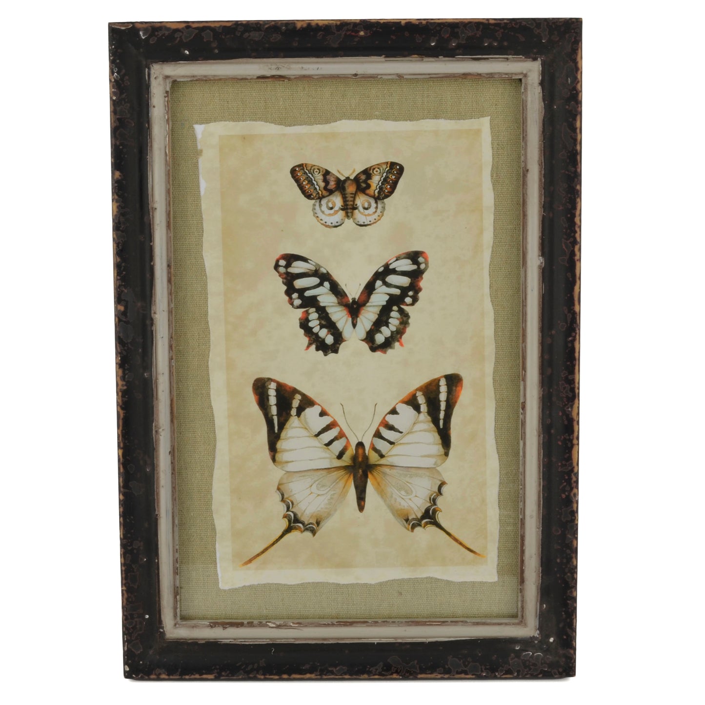 Vintage Style Three Butterflies Print with Distressed Wood Frame, Style D