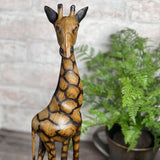 Giraffe 17" Hand Carved Olive Wood Figurine from Zimbabwe