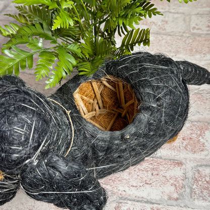 Dachshund Coconut Fiber Dog Planter, Handmade in the Philippines