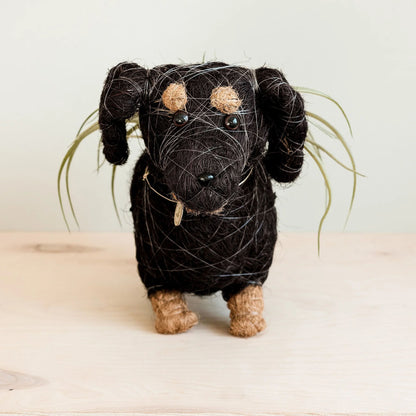 Dachshund Coconut Fiber Dog Planter, Handmade in the Philippines