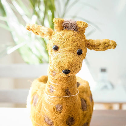 Baby Giraffe Coconut Fiber Planter, Handmade in the Philippines