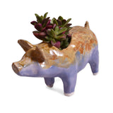 Naomi Nickerson Ceramics Small Winged Pig Planter, Purple/Gold