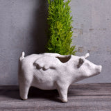 Naomi Nickerson Ceramics Small Winged Pig Planter, Crackle White