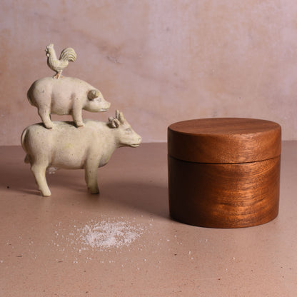 American Handmade Sapele Wood Salt Cellar with Magnetic Swivel Lid