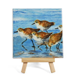 Morning Run Sandpipers by Stephanie Kiker 4-1/4" Decorative Ceramic Tile Plaque, Made in the USA