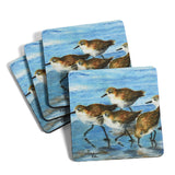 Morning Run Sandpipers by Stephanie Kiker, Polyester Neoprene Coaster, Set of 4, Made in the USA