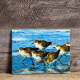 Morning Run Sandpipers by Stephanie Kiker 7-3/4" x 6" Decorative Ceramic Tile Plaque, Made in the USA